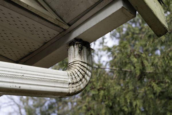 Cost of Roof Drain Replacement in Millsboro