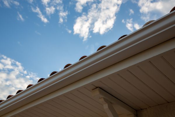 Cost of K Style Gutter Installation in Millsboro