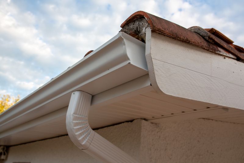 Gutter System Inspection